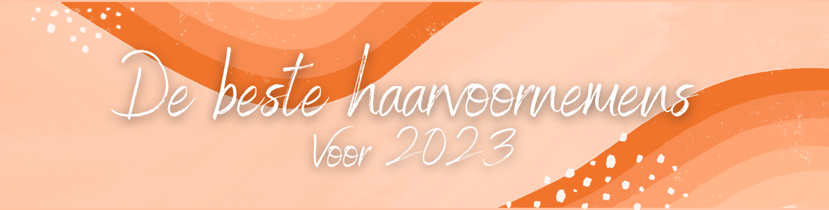 Haarvoornemens 2023