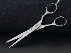 Knipscharen van JAGUAR