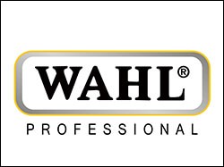 Wahl
