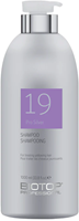 BIOTOP PROFESSIONAL 19 Pro Silver Shampoo - 1000 ml