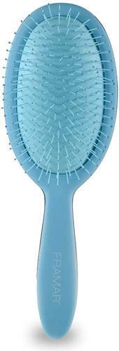 Framar Pneumatische Borstel - Peek a Blue