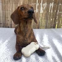 Foamie Dog Shampoo Bar Anything's Pawsible