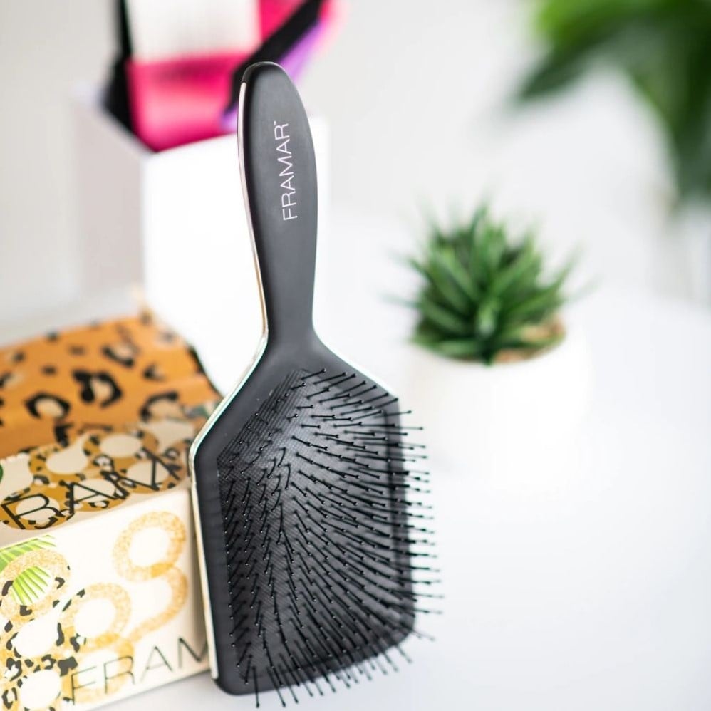 Framar Paddle Brush Black To The Future