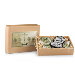 Gordon Beard & Hair Kit