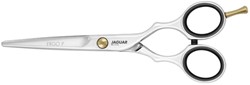 Jaguar Pre Style Ergo P Knipschaar