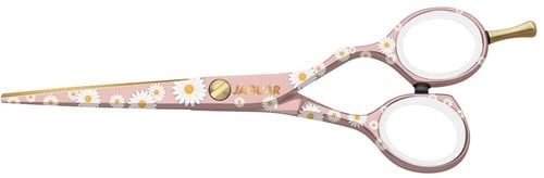 Jaguar Sweet Daisy - 5.5 Inch