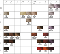 Royal KIS SoftShades Kleurenkaart