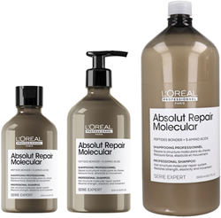 L'Oréal Serie Expert Absolut Repair Molecular Shampoo