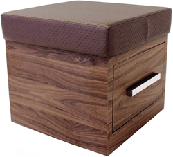 REM Plaza pedispa stoel