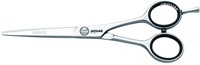 Jaguar Silver Ice Knipschaar