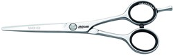 Jaguar Silver Ice Knipschaar