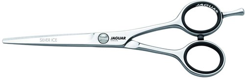 Jaguar Silver Ice Knipschaar