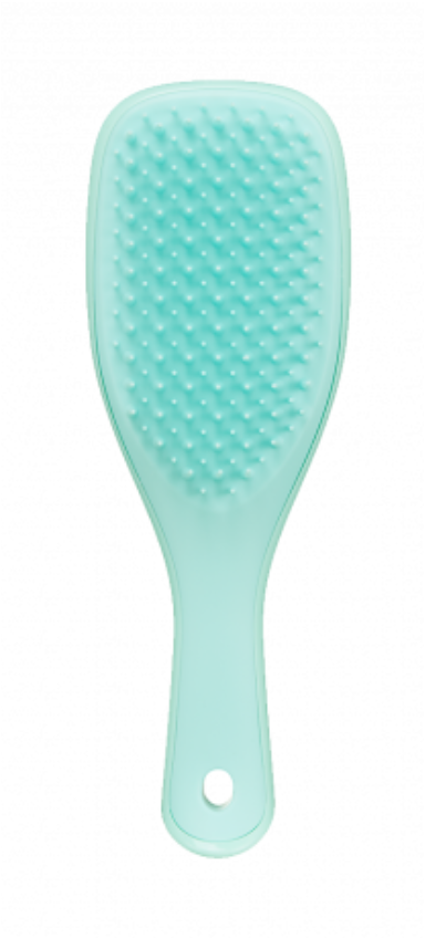 Tangle shop teezer wet