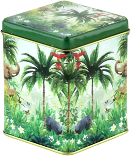 Teatime Theeblik Rain Forest