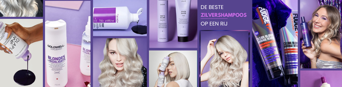 Wat is de beste zilvershampoo?